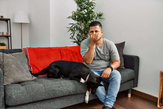 Geruchssymptome bei Hunden: Wie der Duft deines Vierbeiners dich vor Krankheiten warnen kann